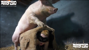Sex động vật gái xinh trốn trong chuồng lợn